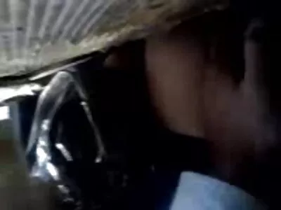 ਗਧੇ ਬਾਊਂਸਿੰਗ ਮੁਕਾਬਲਾ