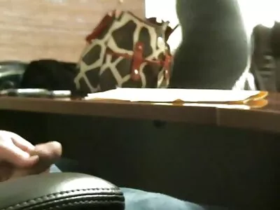 ਇੱਕ ਦਲੇਰ ਕੁੜੀ ਨੰਗੀ ਹੋ ਜਾਂਦੀ ਹੈ