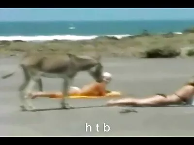 Anally 1st ਵਾਰ ਲਈ fucked
